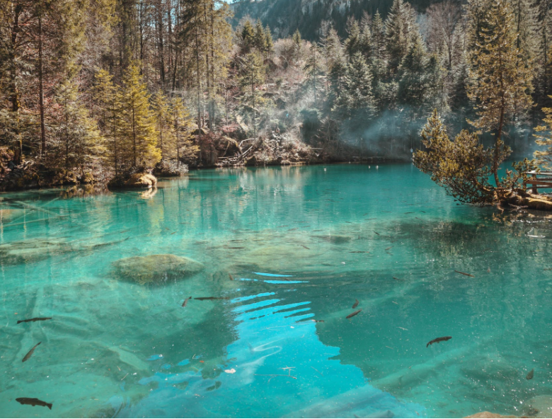 PH值是水質的重要指標 PH值是水質的重要指標